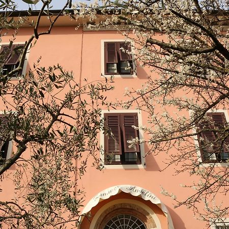 Angelini Dal 1911 Hotel Lucca Eksteriør billede