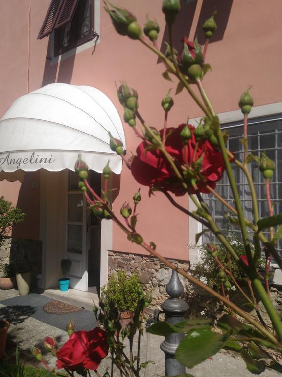 Angelini Dal 1911 Hotel Lucca Eksteriør billede