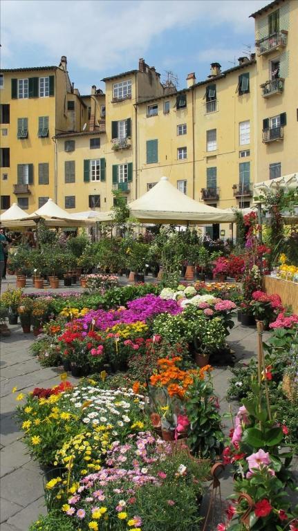 Angelini Dal 1911 Hotel Lucca Eksteriør billede